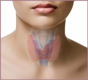 thyroidectomy